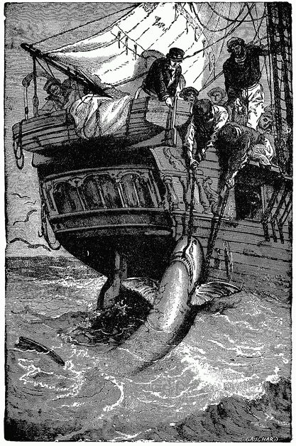 THE SHARK. THE SHARK.