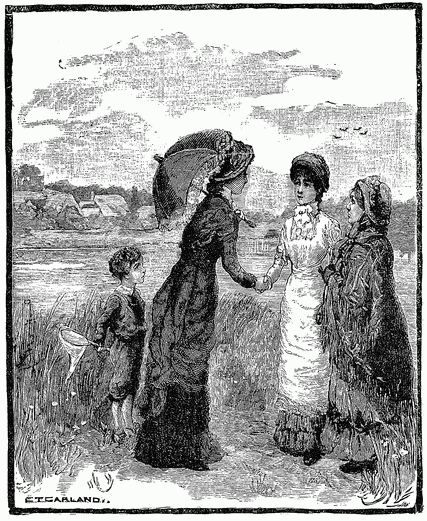 WALTER'S BUTTERFLIES. WALTER'S BUTTERFLIES.