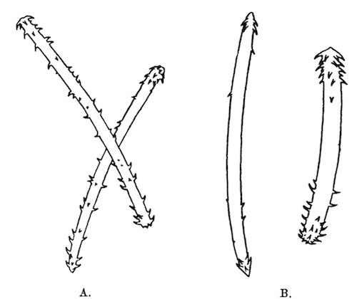 Fig. 8 Illustration: Fig. 8