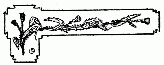 decoración no disponible decoración no disponible