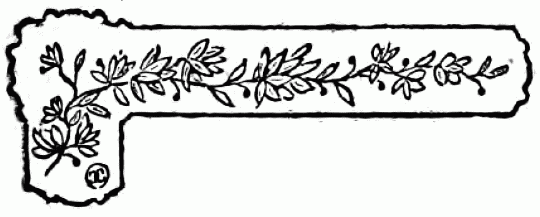 decoración no disponible decoración no disponible