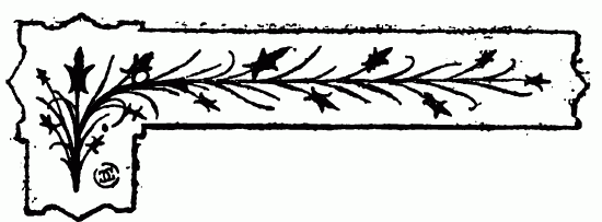 decoración no disponible decoración no disponible