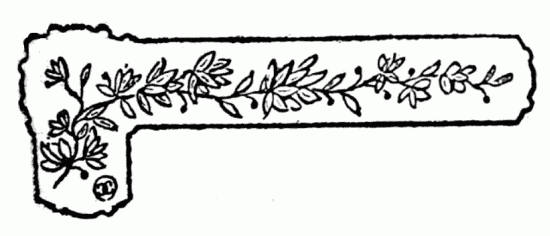 decoración no disponible decoración no disponible