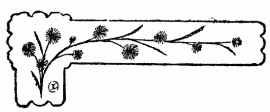 decoración no disponible decoración no disponible