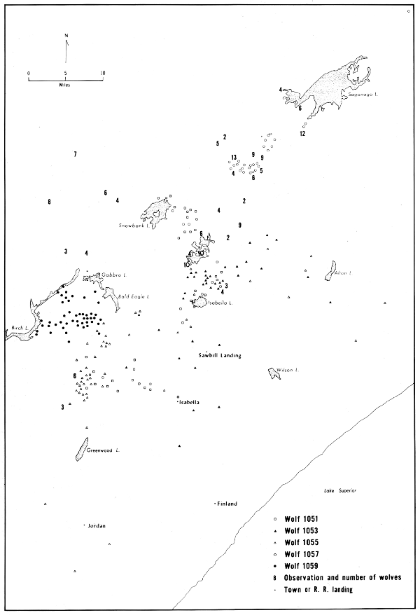 Figure 35.—Locations of all radiotagged wolves and unmarked packs observed during winter 1968-69, except dispersal of 1051 out of the study area. Only selected lakes shown. Figure 35.—Locations of all radiotagged wolves and unmarked packs observed during winter 1968-69, except dispersal of 1051 out of the study area. Only selected lakes shown.