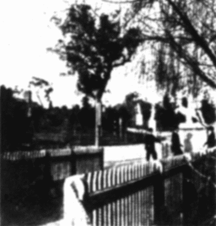 "Take a Look at Diana and the Stag" "Take a Look at Diana and the Stag"