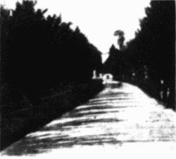 Favorite Walk Toward Barclay Terrace Favorite Walk Toward Barclay Terrace