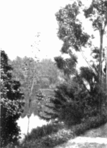 In Botanical Garden, Melbourne In Botanical Garden, Melbourne