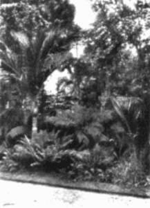 In Botanical Garden In Botanical Garden