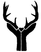 Deer Antlers Deer Antlers