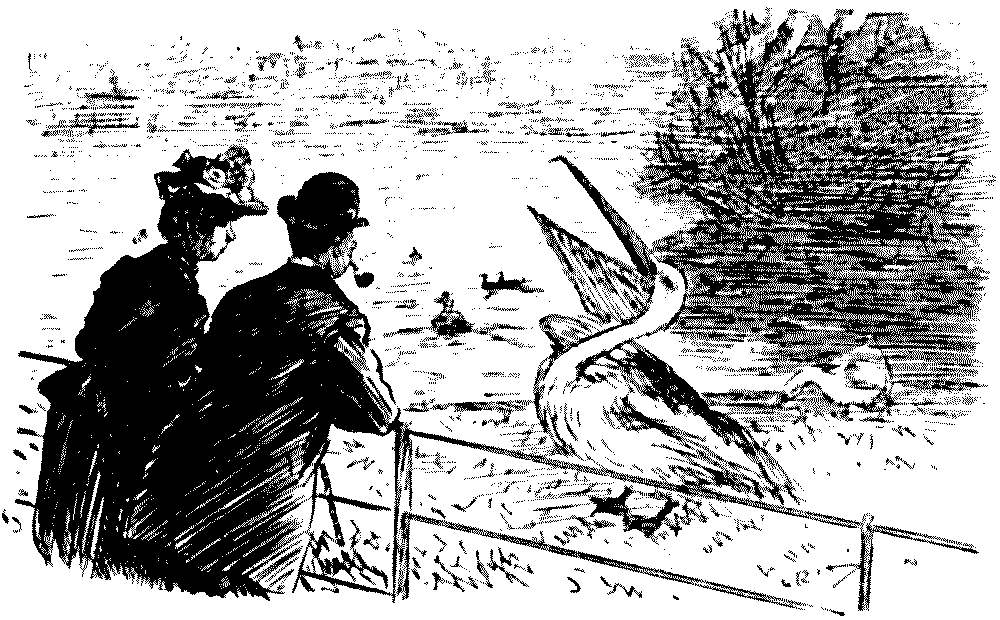 NATURAL HISTORY NOTES