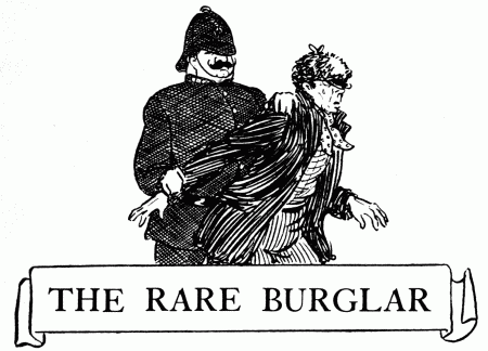 THE RARE BURGLAR THE RARE BURGLAR