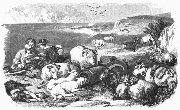 Captain Macheath. By NEWTON. A.D. 1826. In the possession of the Marquis of Lansdowne. Captain Macheath. By NEWTON. A.D. 1826. In the possession of the Marquis of Lansdowne.