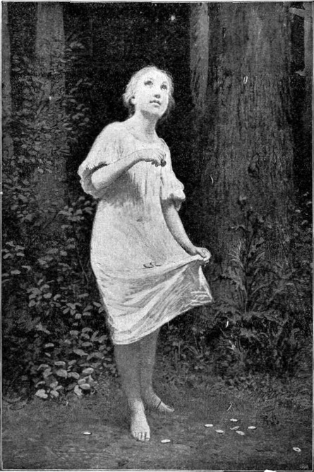 A csillagtallérok. A csillagtallérok.