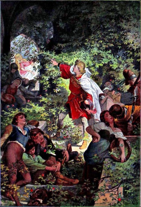 Csipkerózsa. Csipkerózsa.