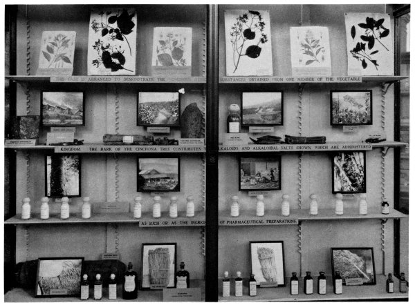 Figure 8.—Exhibit on remedies derived from drugs of vegetable origin. Figure 8.—Exhibit on remedies derived from drugs of vegetable origin