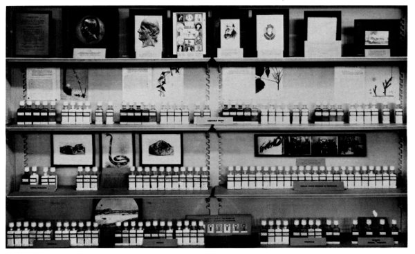 Figure 13.—Early exhibit on homeopathy. Figure 13.—Early exhibit on homeopathy.