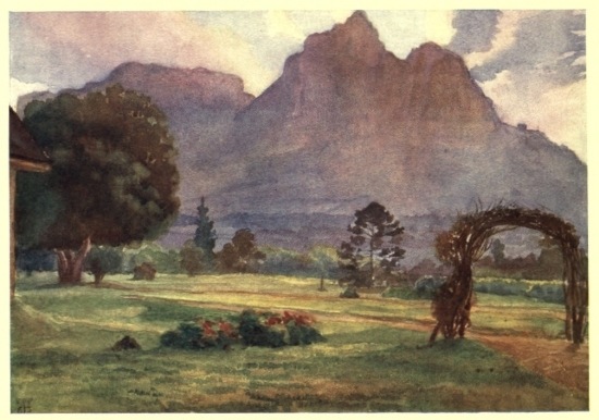 A CORNER OF OUR GARDEN AT ROSEBANK A CORNER OF OUR GARDEN AT ROSEBANK