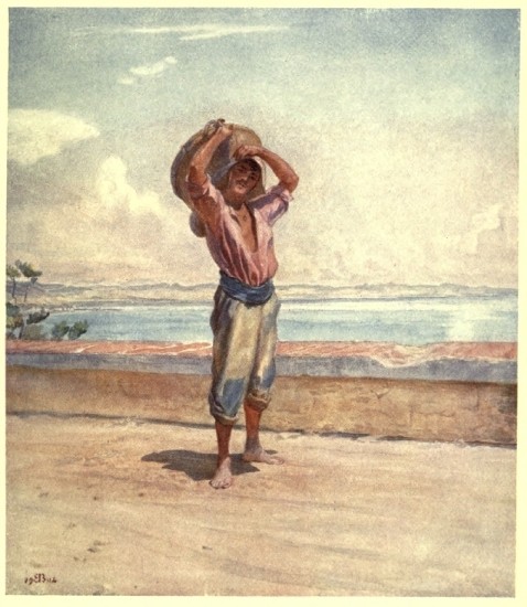 A SON OF THE SOIL, RIVIERA DI LEVANTE A SON OF THE SOIL, RIVIERA DI LEVANTE