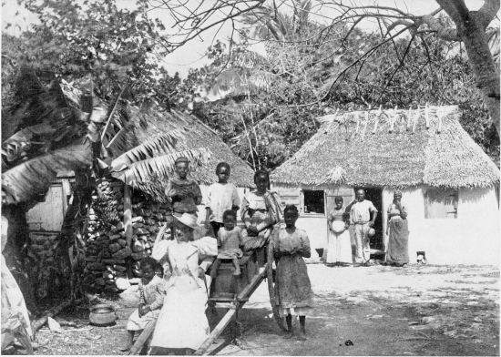 A NATIVE HUT. FROM A PHOTOGRAPH BY J. F. COONLEY, NASSAU, N. P. A NATIVE HUT. FROM A PHOTOGRAPH BY J. F. COONLEY, NASSAU, N. P.
