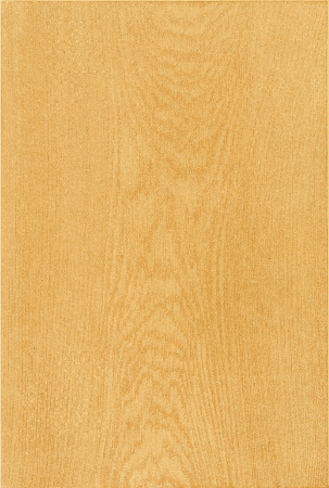 Plate 6. HEART GROWTH OAK, LIGHT.