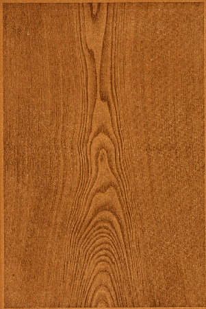 Plate 37. WALNUT WIPED OUT AND PENCILLED.