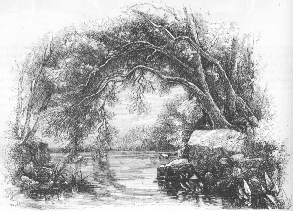 Brighter streams than famed Hydaspes