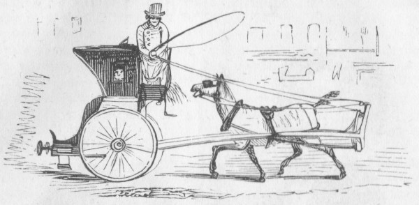 PUTTING THE CART BEFORE THE HORSE.