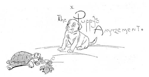 The Puppy's Amazement.