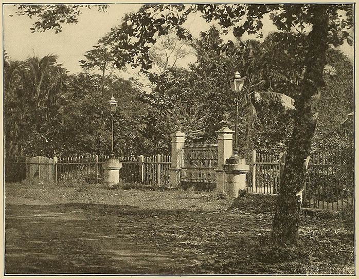 The Once-beautiful Botanical Gardens.