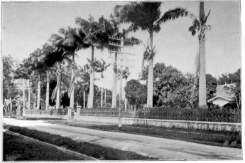On the Way to the Savannah Port of Spain, Trinidad Copyright. 1901, by Detroit Photographic Co. On the Way to the Savannah Port of Spain, Trinidad Copyright. 1901, by Detroit Photographic Co.