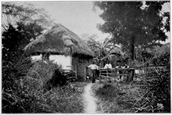 A Native Hut Jamaica Copyright, 1901, by Detroit Photographic Co. A Native Hut Jamaica Copyright, 1901, by Detroit Photographic Co.