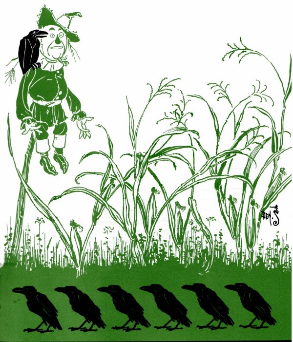 Scarecrow and crows Scarecrow and crows