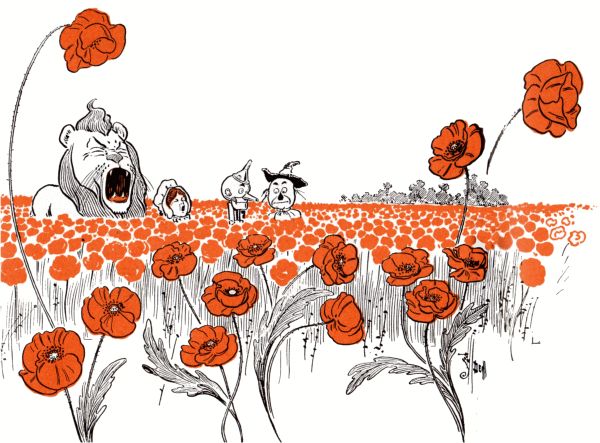 The group in the poppy field The group in the poppy field