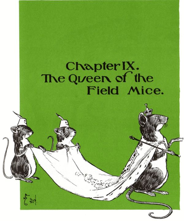 Chapter IX Chapter IX