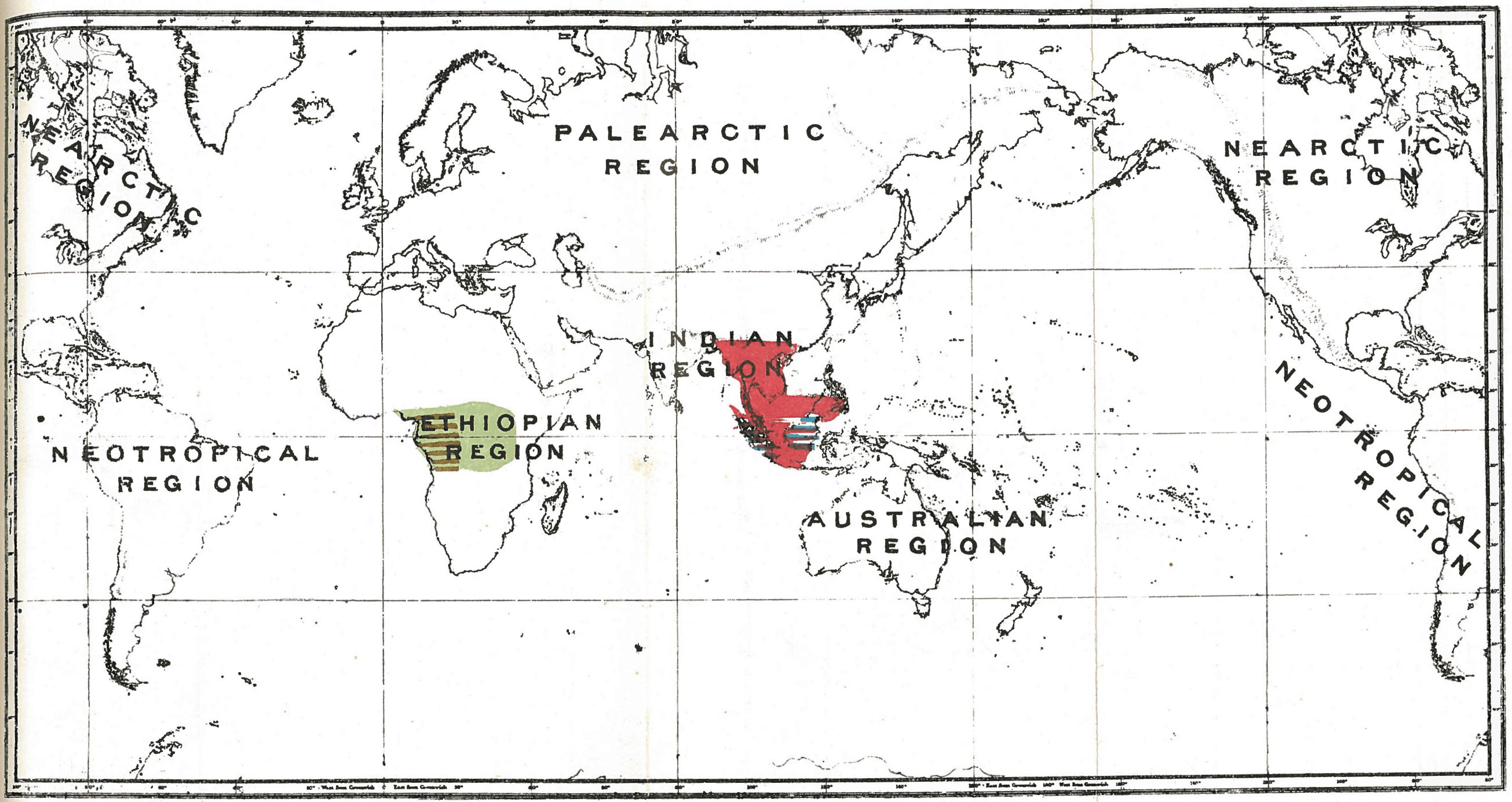 Plate XLIX. Plate XLIX.