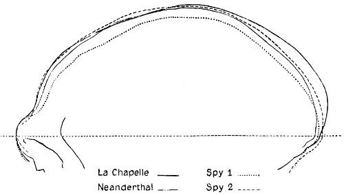 see caption see caption