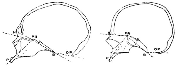 see caption see caption