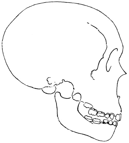 see caption see caption