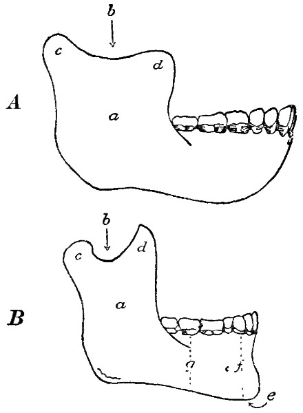 see caption see caption