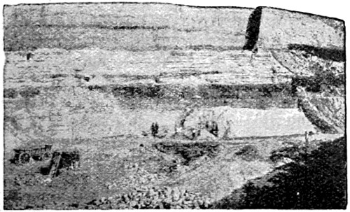 see caption see caption