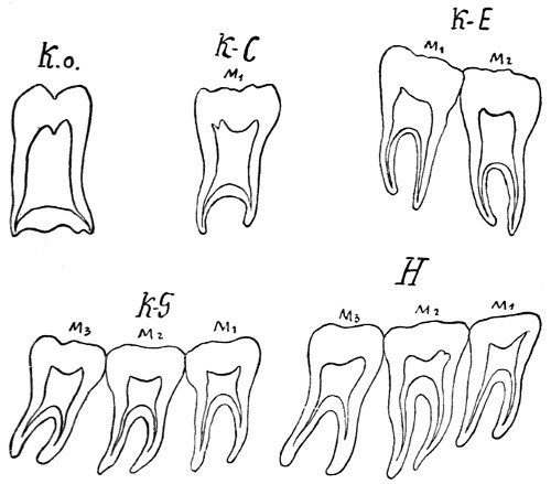 see caption see caption