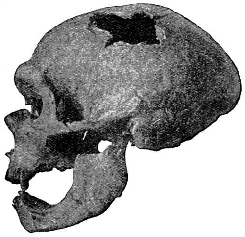 see caption see caption