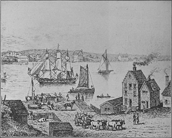 see caption see caption