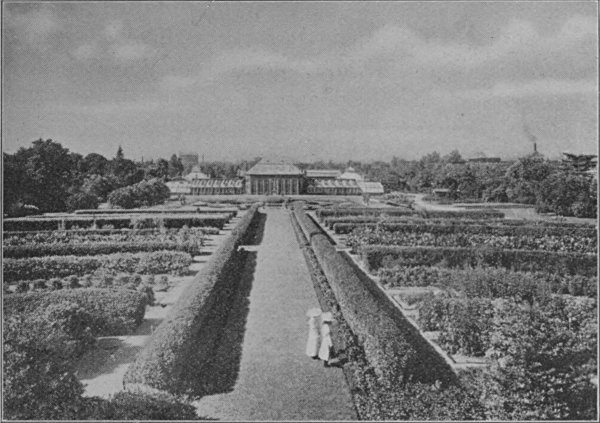 see caption see caption