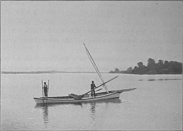 see caption see caption