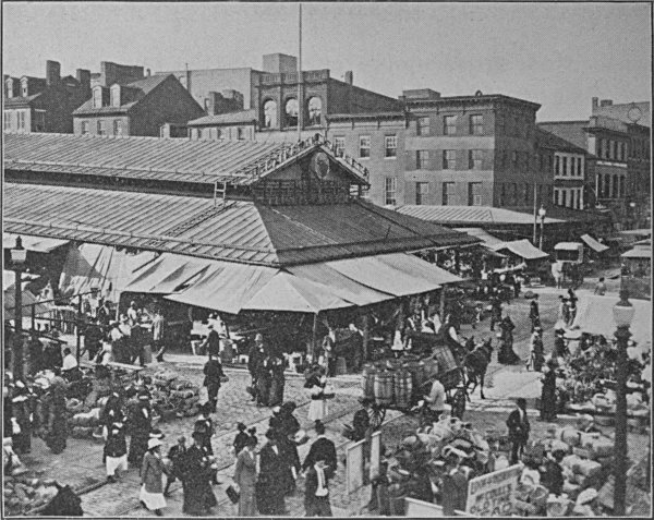 see caption see caption