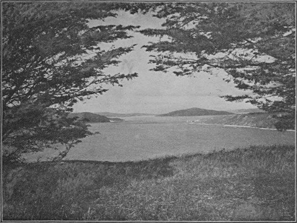 see caption see caption