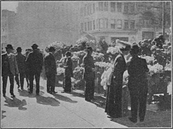 see caption see caption