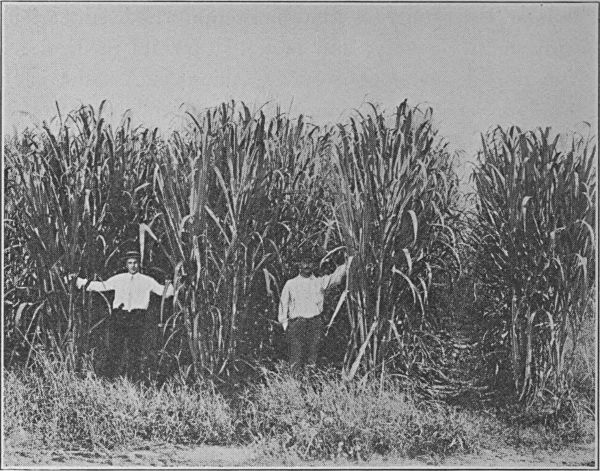 see caption see caption